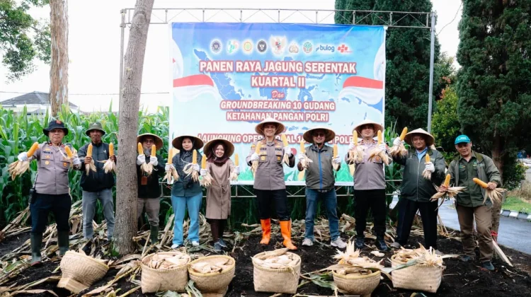 Kapolres Cimahi Ikuti Panen Raya Jagung Serentak Nasional di Cisarua
