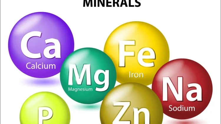 Mineral Penting Penjaga Kesehatan Tubuh