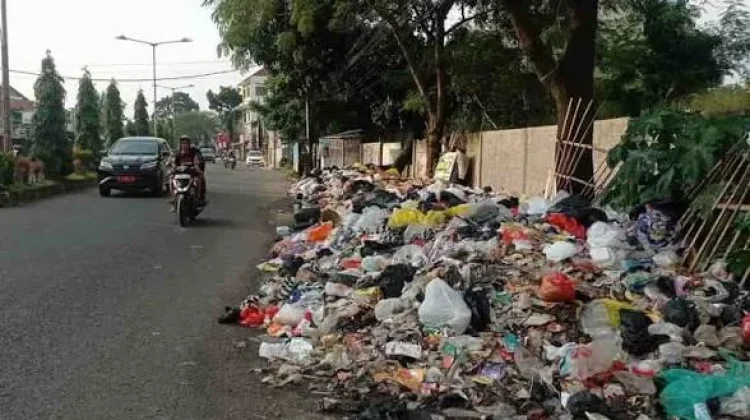 DEKRAFMI Jambi Gandeng Investor Asing Kelola Mangrove dan Sampah Tanjabbar