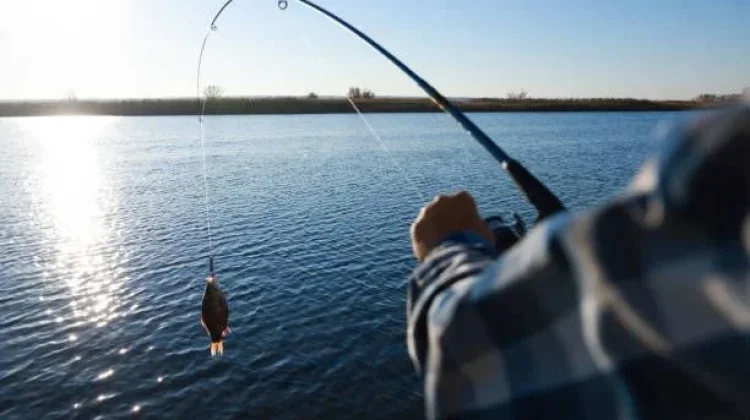 Mancing, Hobi Sederhana yang Penuh Sensasi dan Jadi Cara Ampuh Lepas Penat