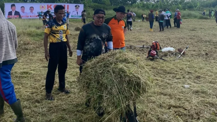 Syukuran Kemenangan Persib, Warga Tasikmalaya Bersihkan SOR Mangunreja