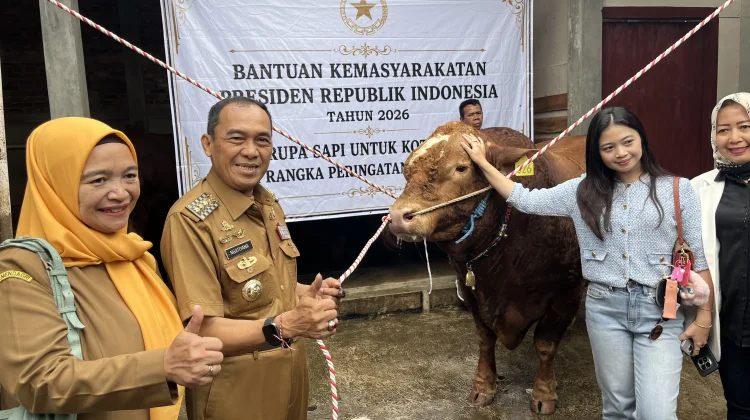 Peternak Cimahi Bangga Sapi “Dragon Ball” Lolos Seleksi Kurban Presiden