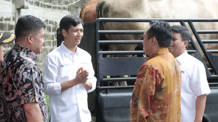 Sambut Iduladha, Holding DEFEND ID Salurkan 100 Hewan Kurban untuk Masyarakat