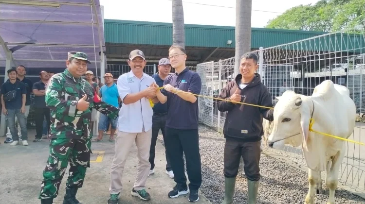 Penyaluran 17 Hewan Kurban PT. TKG Taekwang Indonesia Mendapat Apresiasi Warga