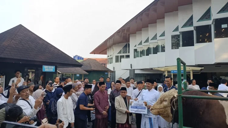 Sapi Kurban Presiden Prabowo Seberat 1,25 Ton Diserahkan untuk Warga Kota Bandung