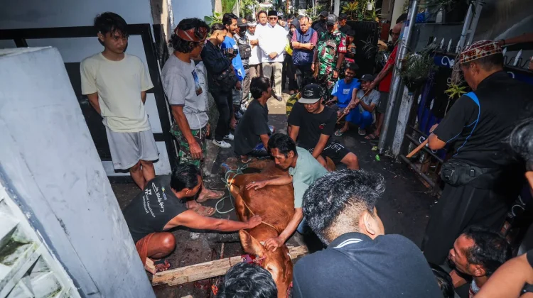 Wali Kota Bandung Serahkan Sapi Kurban untuk Warga Cicadas