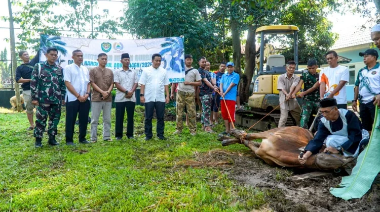 Kodim 0605/Subang Kurban 8 Ekor Sapi dan 13 Ekor Domba, untuk Pererat Kebersamaan