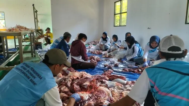 Sapi Kurban Presiden dan Bupati KBB Ramaikan Penyembelihan di RPH Cikamuning