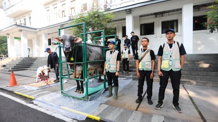 DKPP Kota Bandung Periksa 2.313 Hewan Kurban