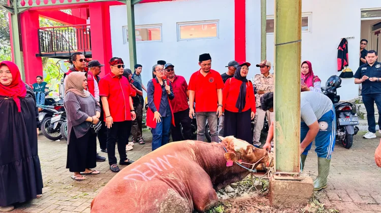 Gotong Royong, PDIP KBB, GNTI Jabar, dan Anggota Legislatif  Tebar Hewan Kurban