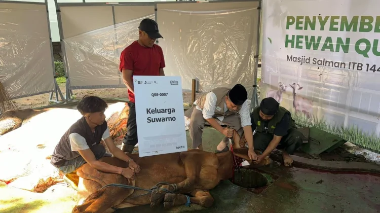 Berbagi Hewan Kurban ke Pelosok juga Wilayah Bencana
