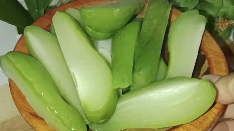 Kandungan Nutrisi dalam Labu Siam Rebus
