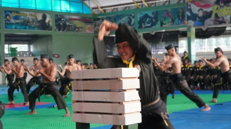Program Penataran Kader Pelatih , Siapkan Instruktur Pencak Silat Militer