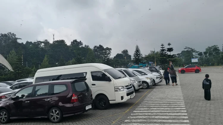 Selama Libur Iduladha, Kunjungan Wisatawan ke Florawisata Bunga D'Castello Naik