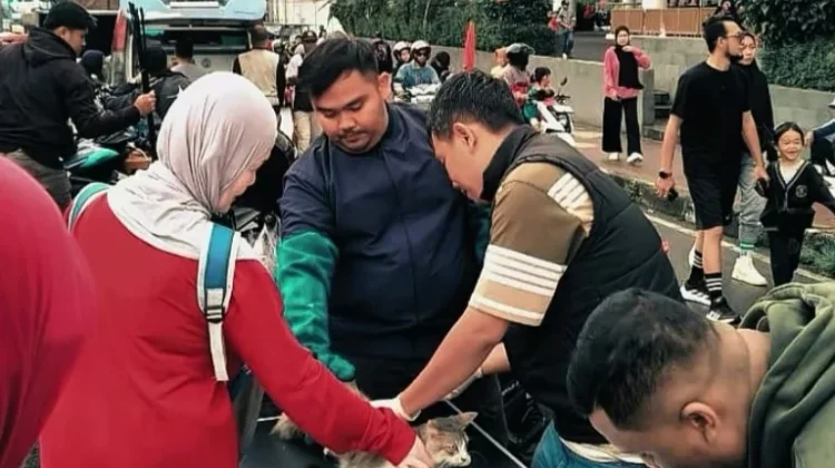 Hindari Virus pada Hewan Peliharaan Bidang Keswan Programkan Vaksin