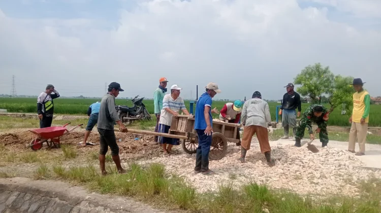 Atasi Jalan Rusak, Babinsa Pabuaran Bersama Warga Perkeras Jalan Dusun Tanjung