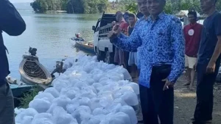 BKN dan Pemkab Sumedang Hijaukan Jatigede lewat Aksi Lingkungan