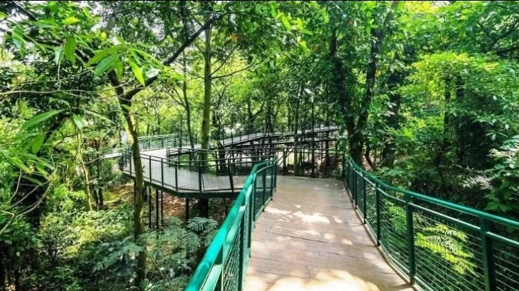 Pilihan Wisata Gratis di Bandung, Cocok untuk Healing Hemat