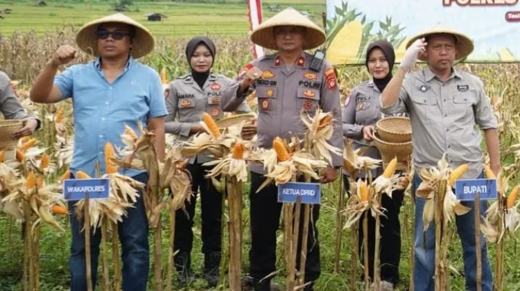 Kawal Produktivitas Pertanian, Polres Tasikmalaya: Dukung Ketahanan Pangan