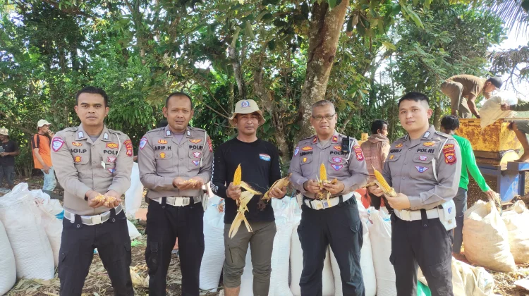 Dukung Swasembada Pangan, Polres Subang Panen Jagung Seluas 1 Hektar