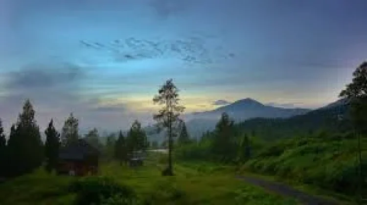 Tempat Wisata Alam dan Glamping Favorit di Subang
