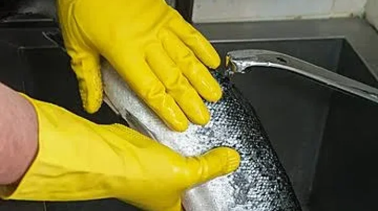 Menghilangkan Bau Amis pada Ikan dengan Bahan Alami