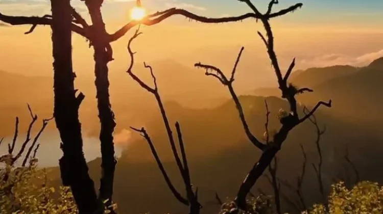 Menyingkap Pesona Tersembunyi Gunung Canar di Jabar