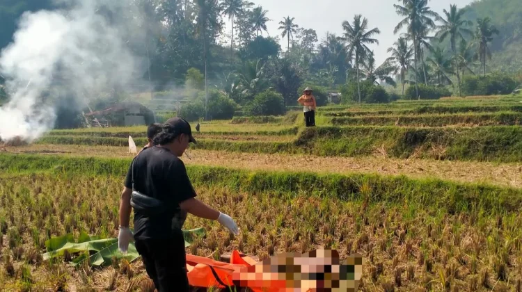 Polisi Selidiki Temuan Mayat Laki-Laki tanpa Identitas