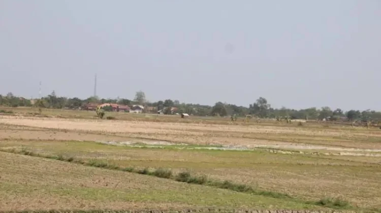 Pemkab Subang Tindaklanjuti SK Gubernur Kabar Tentang Status Darurat Kekeringan