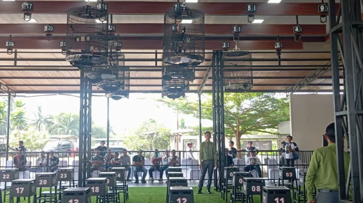HUT Bhayangkara, Kicau Mania Ramaikan Festival Burung Piala Kapolres Tasikmalaya