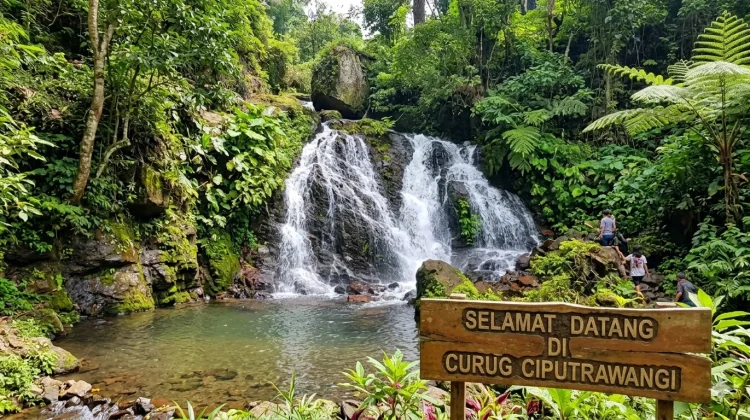 Eksotisme Curug Ciputrawangi,Wisata Tersembunyi di Kaki Gunung Tampomas
