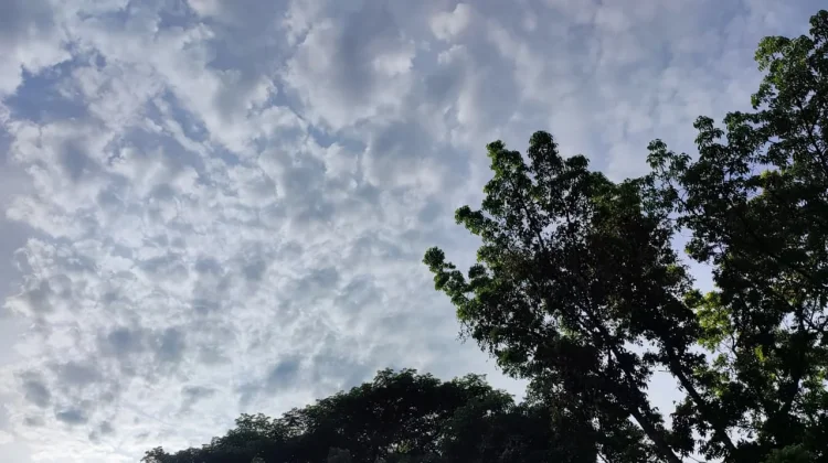 Cuaca Bandung Selasa 23 Juni 2026 Cerah hingga Berawan di Sore Hari