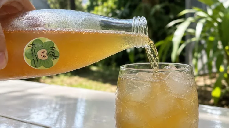 Generasi Muda Memilih Kombucha untuk Bisnis Minuman Sehat