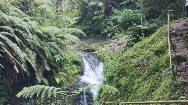 Nikmati Beberapa Keindahan Curug di Ciwangun Indah Camp,Lembang