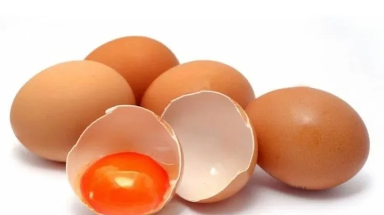 Telur Omega vs Telur Biasa,Benarkah Lebih Sehat? Ini Beragam Manfaatnya