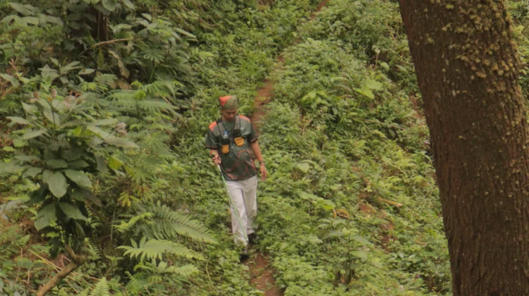 Manfaat Mengikuti Aktivitas Silent Hiking