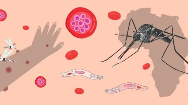 Anak jadi Kelompok Lebih Rentan Terhadap Malaria Berat