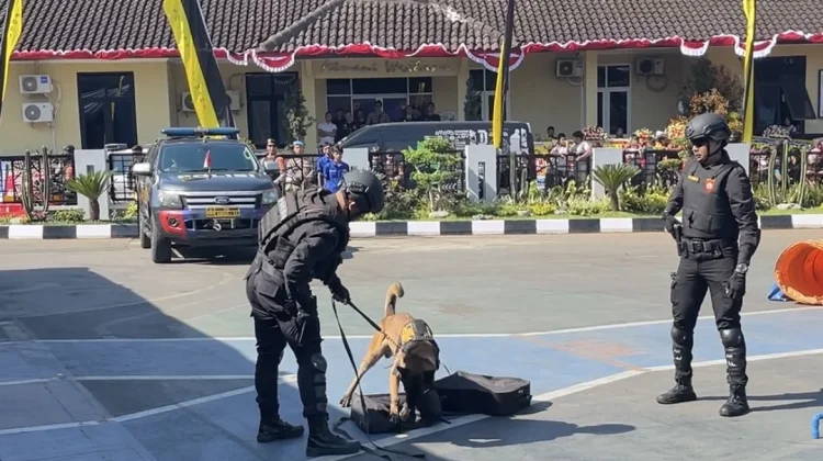 Polres Cimahi:Atraksi K9 hingga Simulasi Tawuran Warnai Hari Bhayangkara ke-80