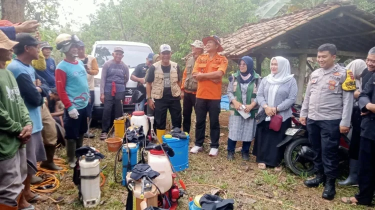 Warga Cikaum Subang Prihatin, 15 Hektar Pohon Rambutan Diserang Hama Ulat