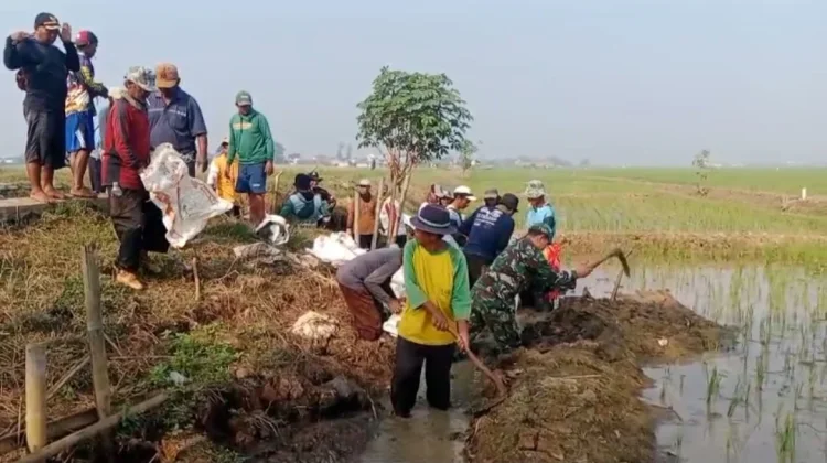 Babinsa Koramil Pabuaran Turun Langsung Bantu Perbaikan Tanggul yang Jebol