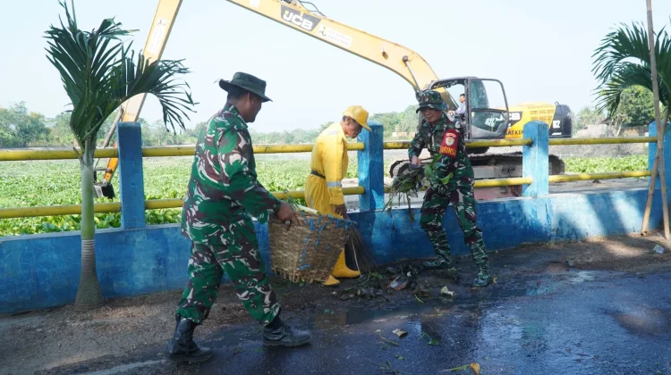 Kodim 0605/Subang Bersihkan Situ Sukamelang Dari Eceng Gondok di Apresiasi Warga