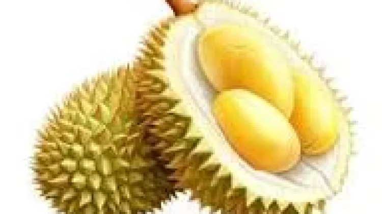 Berbagai Macam Jenis Durian yang Ada di Indonesia