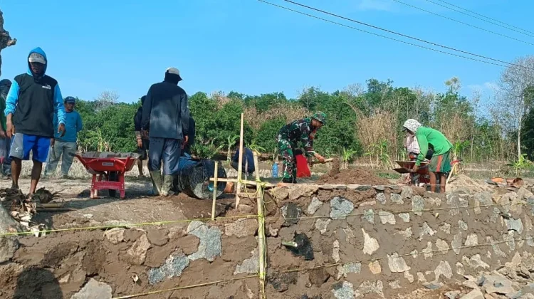 Babinsa Koramil Pagaden Jadi Motor Penggerak Pembangunan TPT di Desa Wanasari