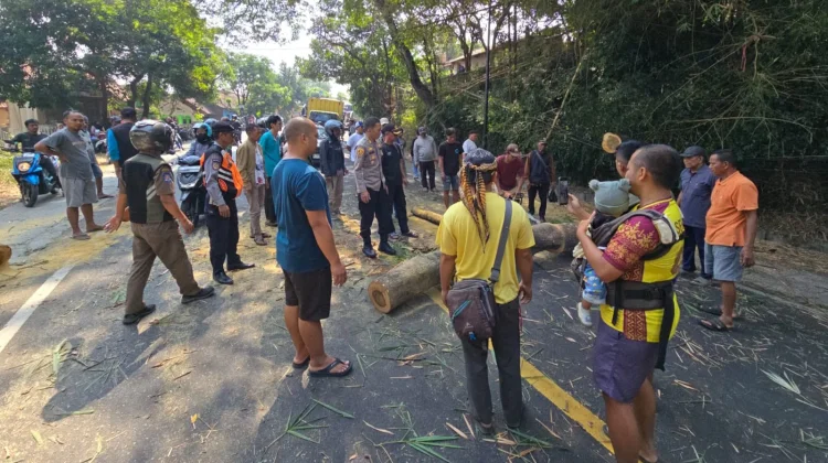 Pohon Tumbang Ganggu Akses Jalur Garut-Bandung