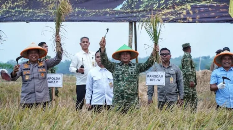 Panen Raya 218 Hektar di Sumedang, Pangdam III/Siliwangi Dukung Swasembada