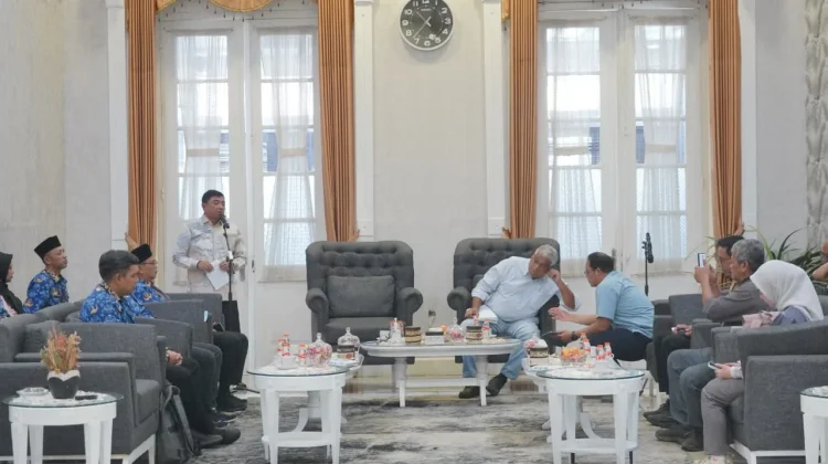 Tehnologi Pertanian Tingkatkan Produktivitas Komoditi Kentang