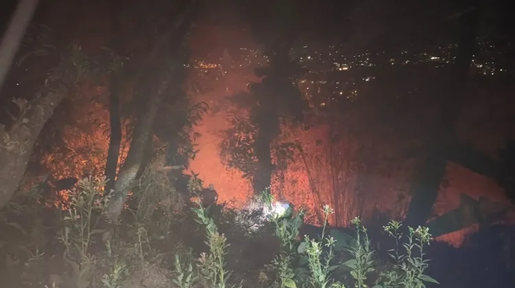 Cuaca Panas, Hektaran Lahan di Gunung Putri Garut Terbakar