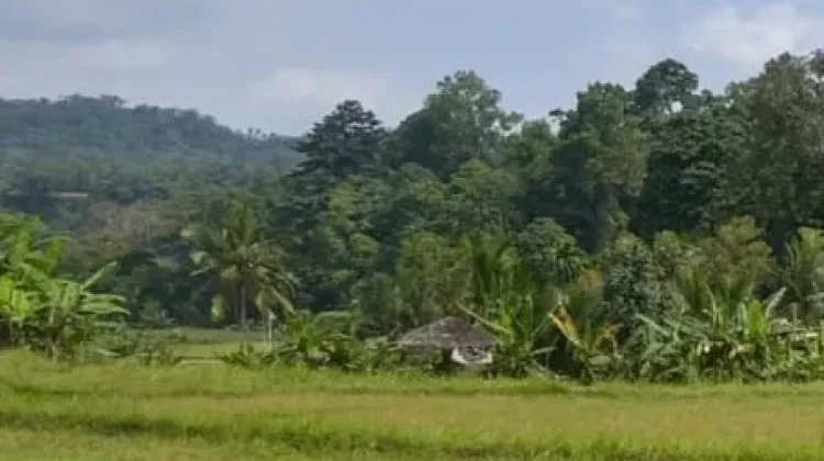 Harmoni Adat dan Alam di Kampung Kuta Ciamis