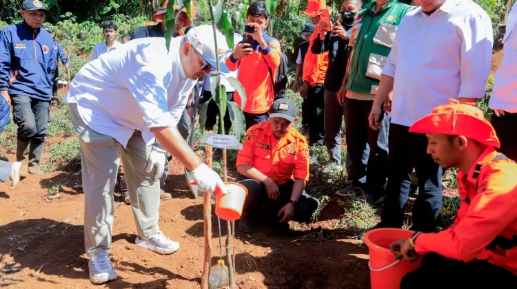 Pemkot Bandung Percepat Penghijauan Lewat Program Rindu Rindang