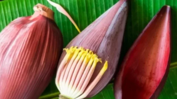 Sensasi Rasa dan Manfaat dari Jantung Pisang